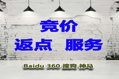 某电商平台的SEM运营实战与效果分析