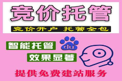 谷歌竞价案例：跨境电商广告投放策略